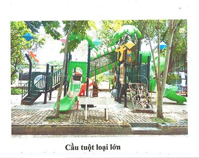 Polonya'da Başarılı Vaka